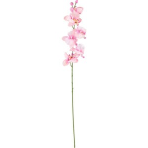 UMELÝ KVET orchidea 72