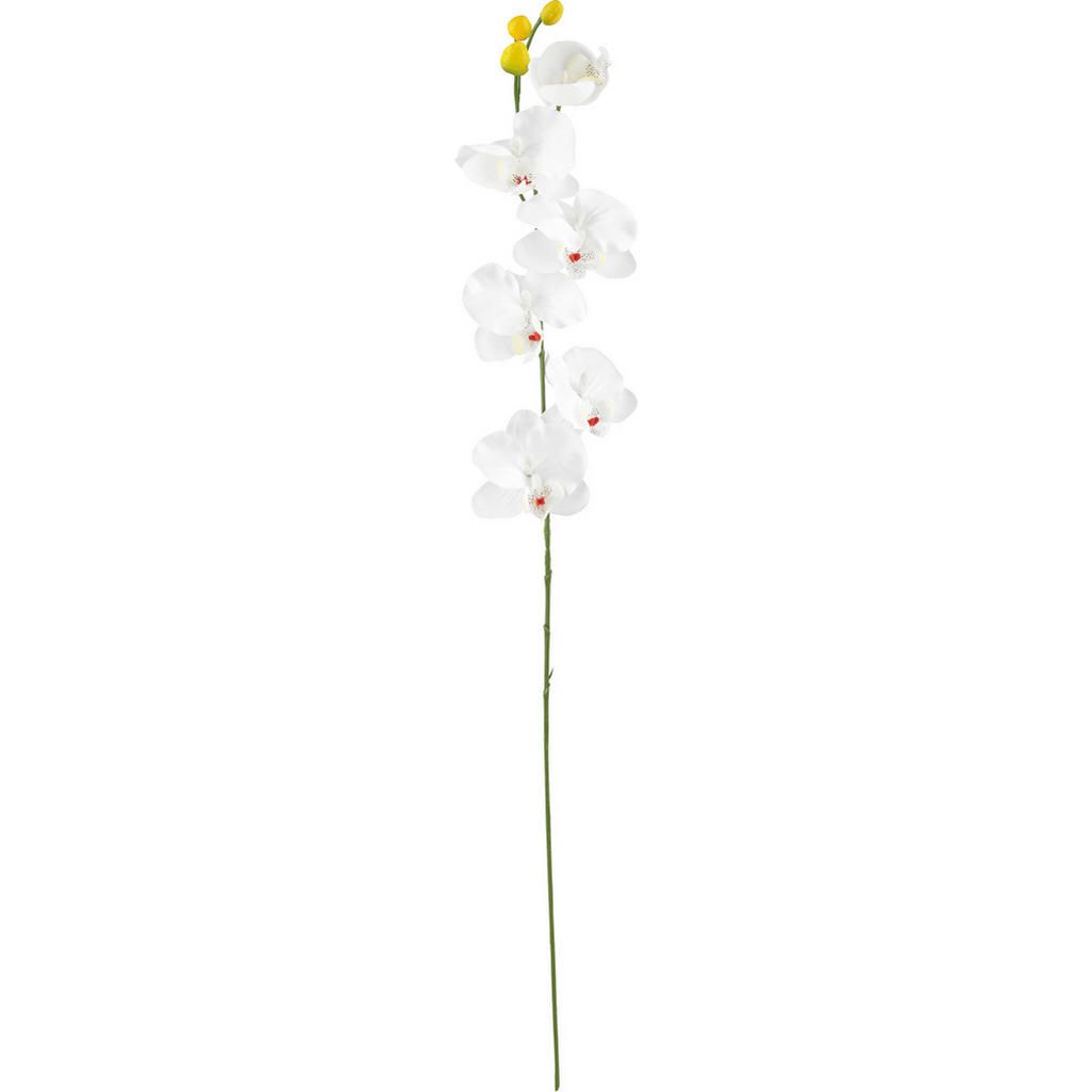 UMELÝ KVET orchidea 72